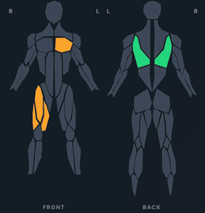 Front and back body maps: chest and left quadriceps flagged for monitoring in orange, upper back balanced in green